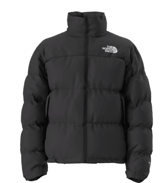 The North Face Men's 1996 Retro Nuptse Jacket