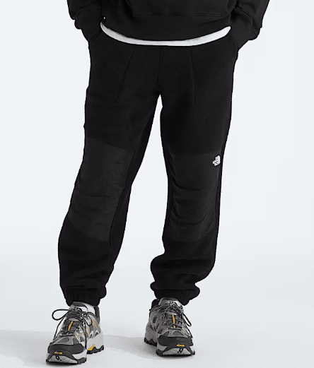 The North Face Men's Retro Denali Pants